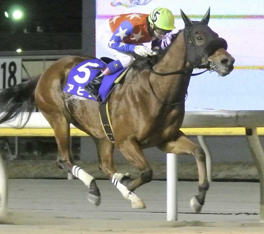 【画像・写真】【船橋記念】アピア、３馬身差の圧倒∨２！８歳も衰えなし