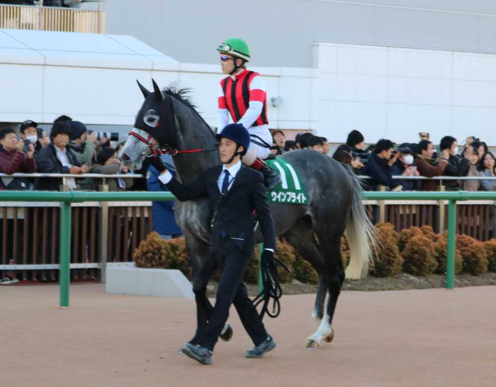 【画像・写真】「地道に努力」焦らず成長した松岡正海という男