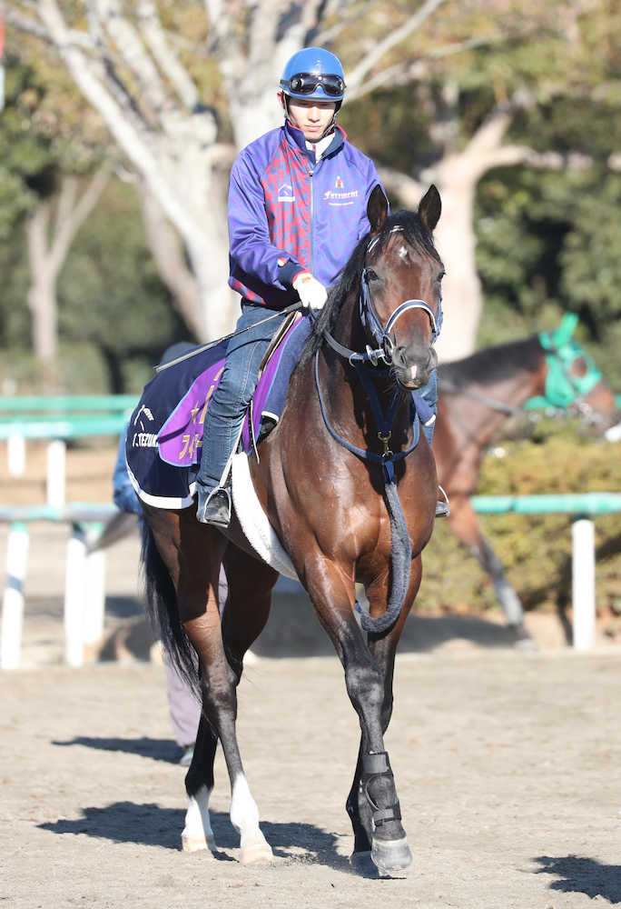 【画像・写真】【ＡＪＣ杯】菊花賞馬明け４歳初戦、連対率４４％