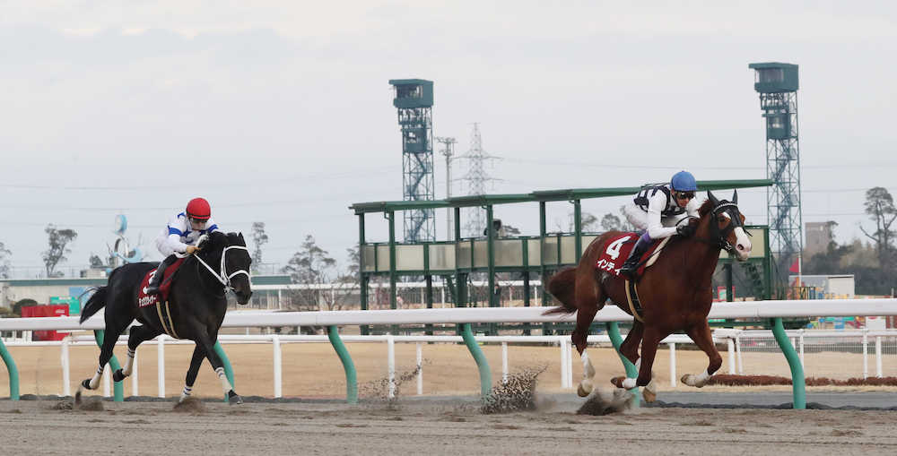 【画像・写真】【東海Ｓ】インティ強い６連勝！武豊デビューから３３年連続重賞Ｖ