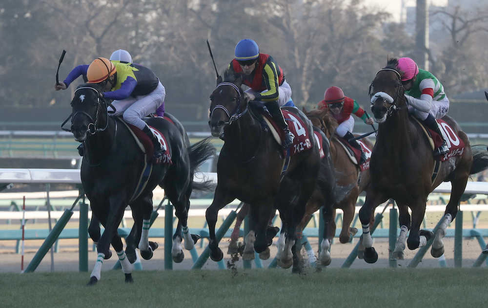 【画像・写真】【ＡＪＣ杯】１年１カ月ぶり実戦のシャケトラＶ！角居師は調教停止処分から復帰後初勝利