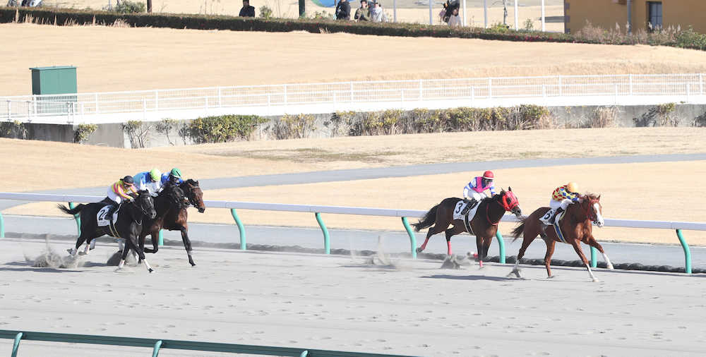 【画像・写真】【中京９Ｒ】菜七子　猛追３着、今年初ＪＲＡ馬券圏内