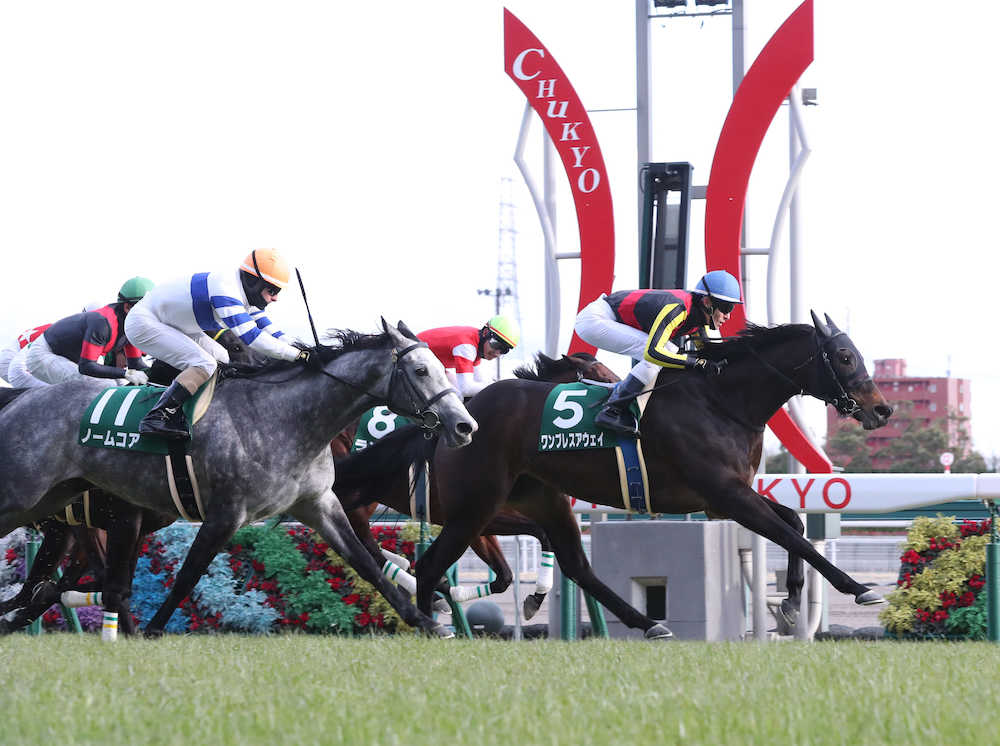 【画像・写真】【愛知杯】戦い終えて
