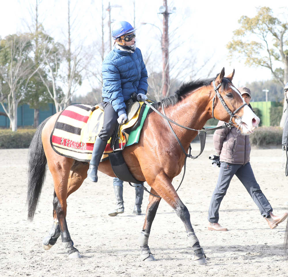 【画像・写真】【東京新聞杯】藤沢和厩舎　ロンドン、レイエンダ、アレスの３頭出しで気合