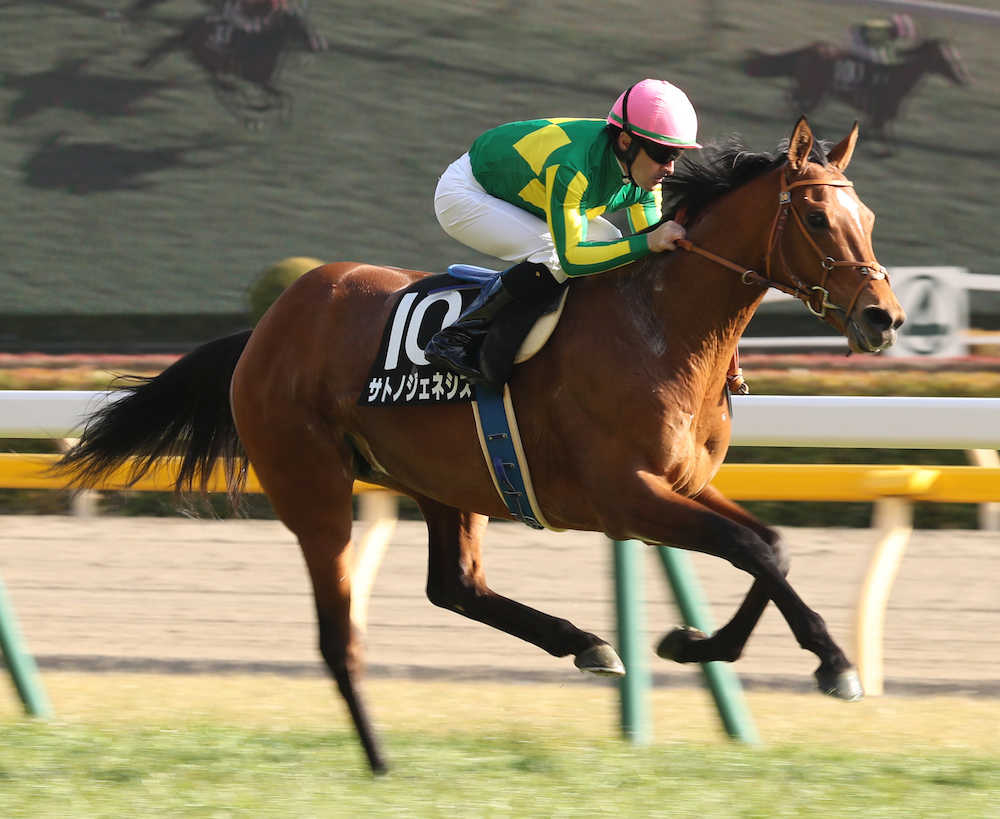 【画像・写真】【ゆりかもめ賞】サトノジェネシス人気に応え圧勝　ルメール「長い距離でいい馬になりそう」