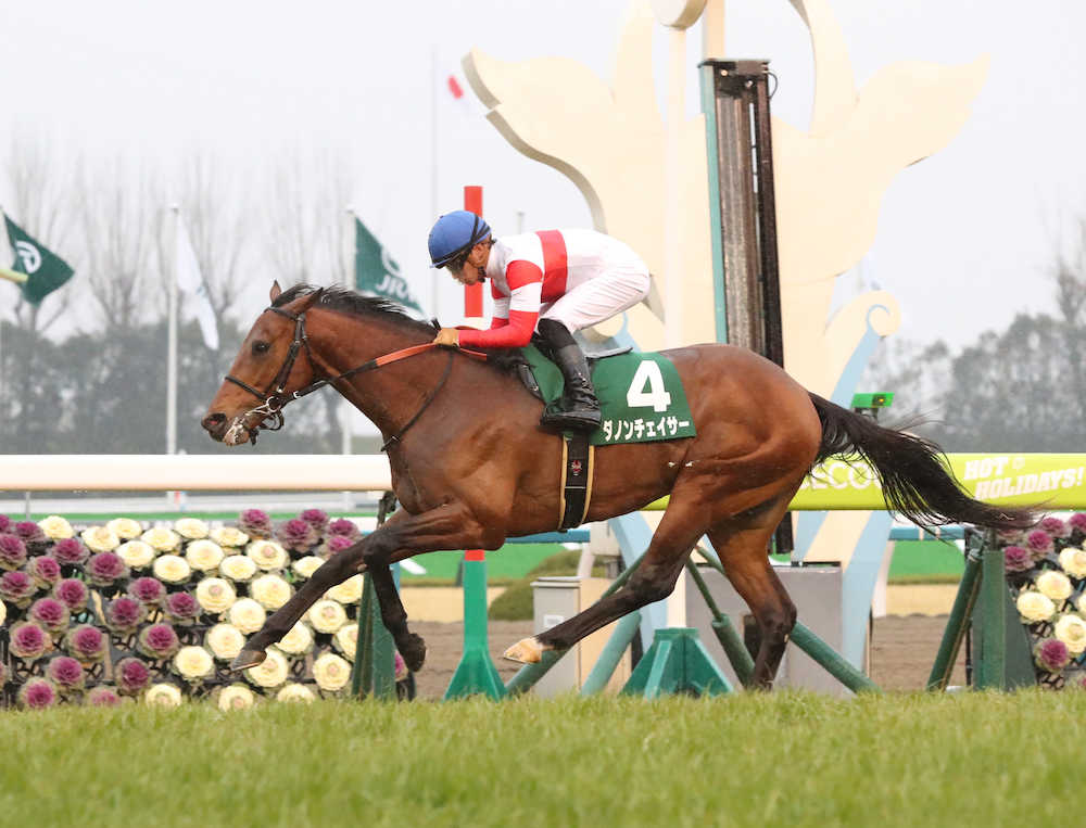 【画像・写真】【きさらぎ賞】ダノンチェイサー押し切りＶ　クラシックへ大きな１勝　池江師「あと６回ぐらい勝ちたい」