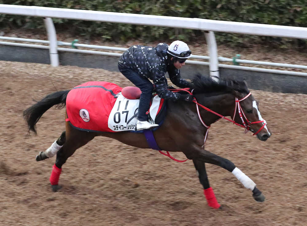 【画像・写真】【京都記念】藤岡佑も初褒め　ステイ動き絶好、着実上昇カーブ