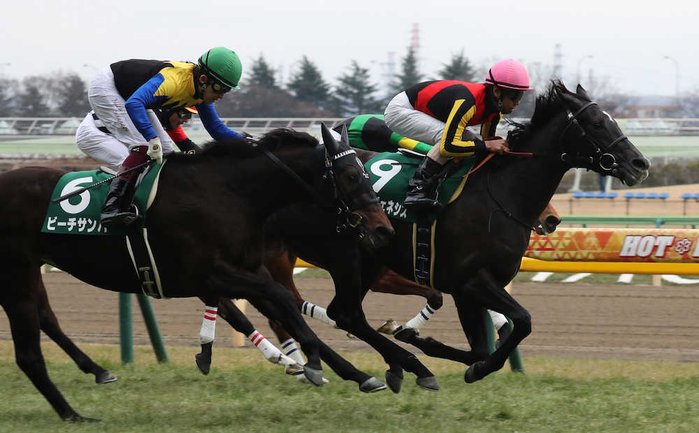 【画像・写真】【クイーンＣ】ジェネシス重賞初Ｖ　北村友「瞬発力に自信」