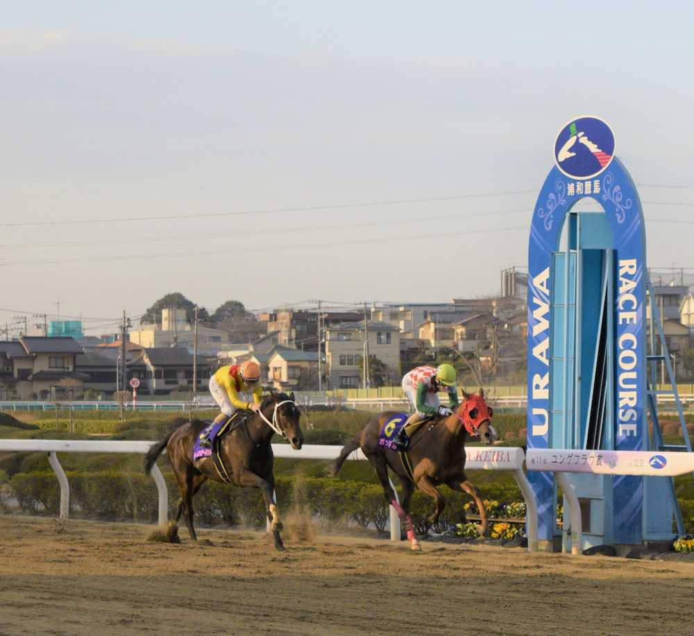 【画像・写真】【浦和・ユングフラウ賞】ポッドギル逃走Ｖ　Ｂ効果抜群！