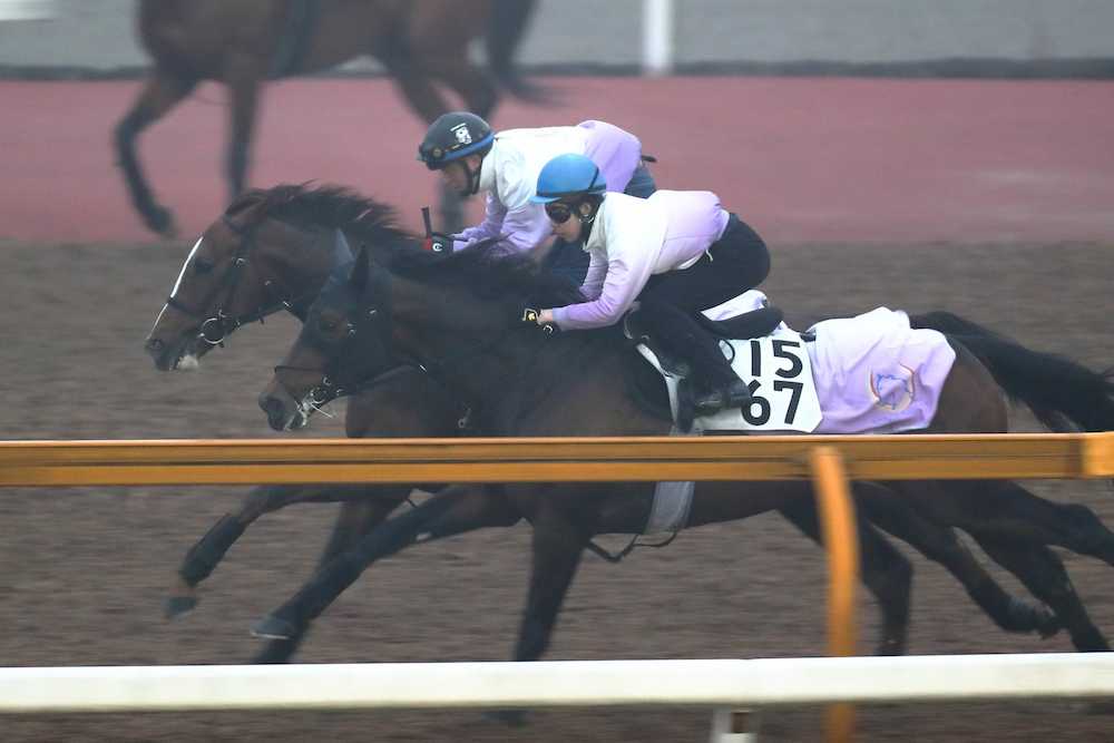 【画像・写真】【中山記念】リチャード、馬なり併入活気戻った！Ｖでドバイへ