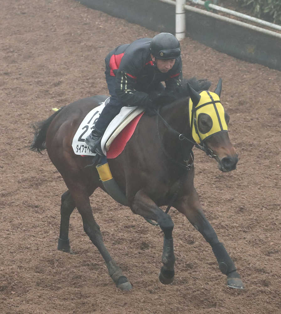 【画像・写真】【阪急杯】ダイアナヘイロー、坂路馬なり好走パターンで調整