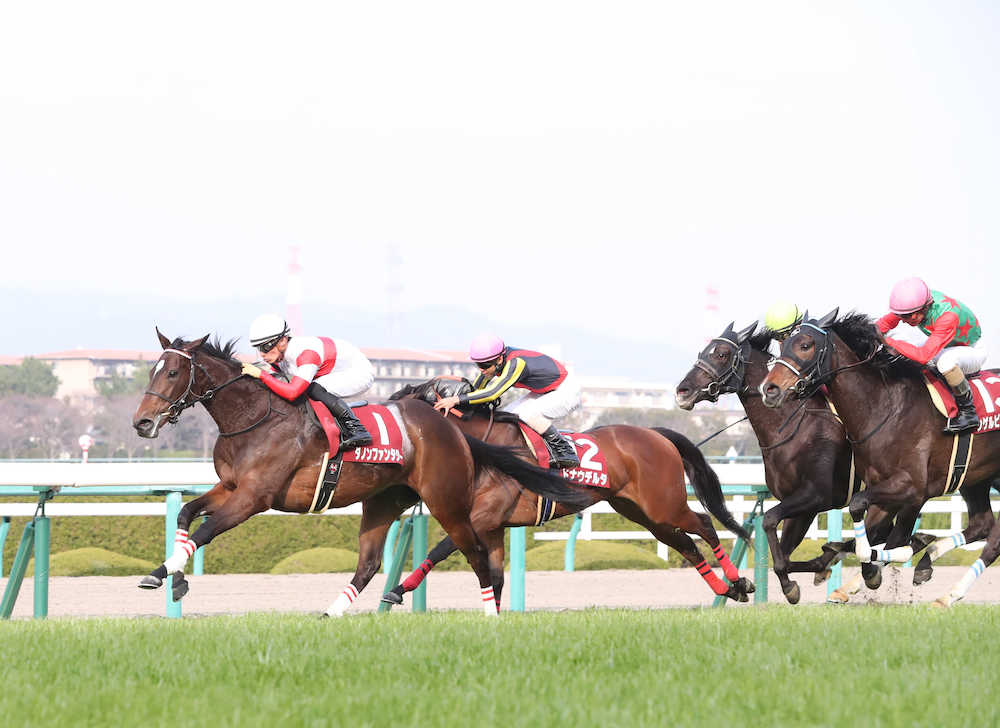 【画像・写真】【チューリップ賞】ファンタジー、桜に王手！重賞３勝目