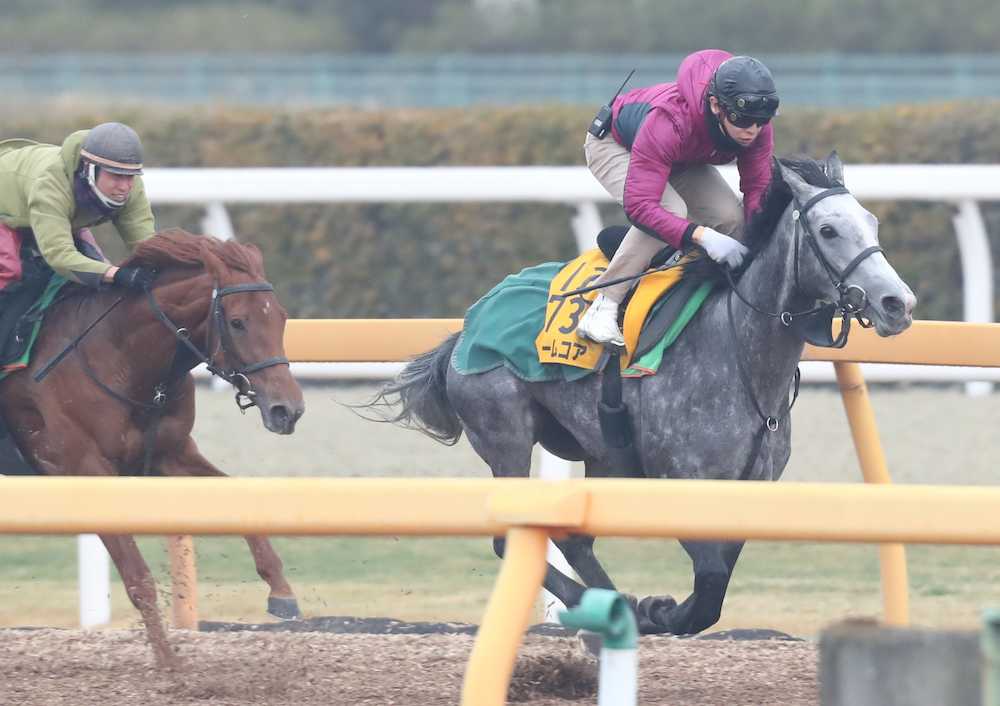 【画像・写真】【中山牝馬Ｓ】ノームコア、力強い伸び披露