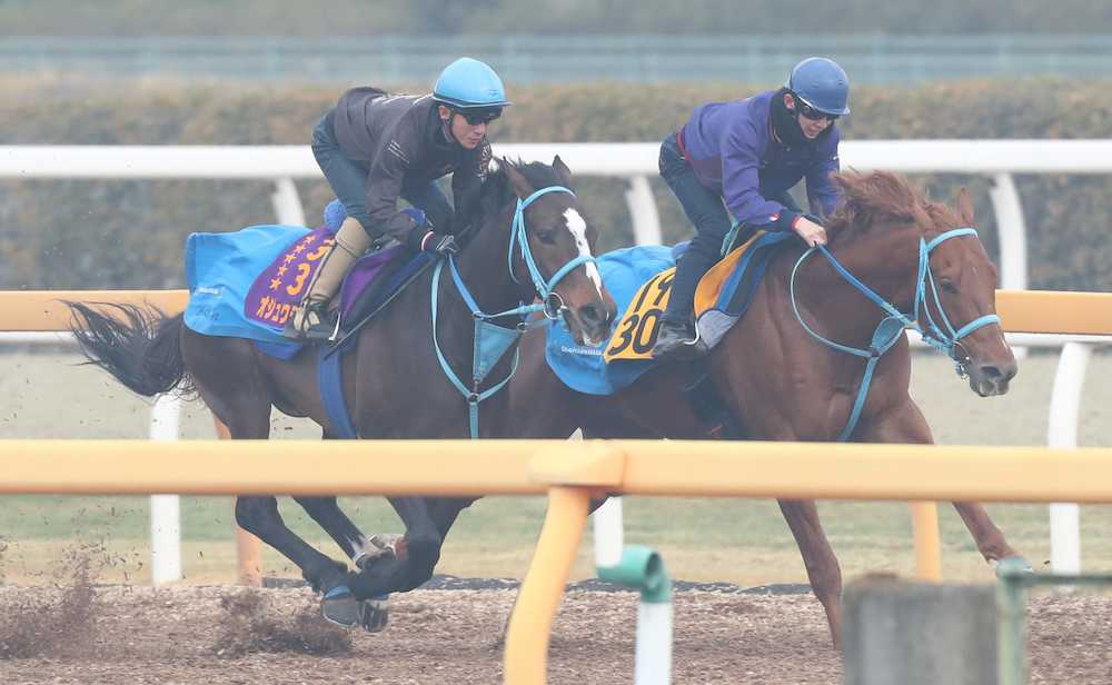 【画像・写真】【阪神ＳＪ】オジュウは負けない！障害復帰戦へ抜群の反応