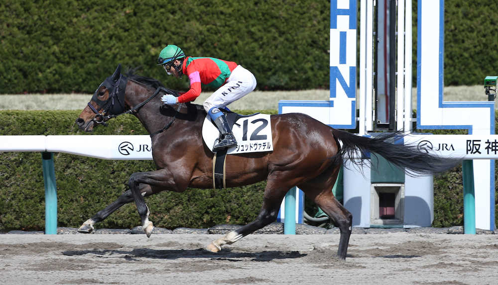 【画像・写真】【阪神新馬戦】シュッドヴァデル、直線力強く抜け出し大穴配当