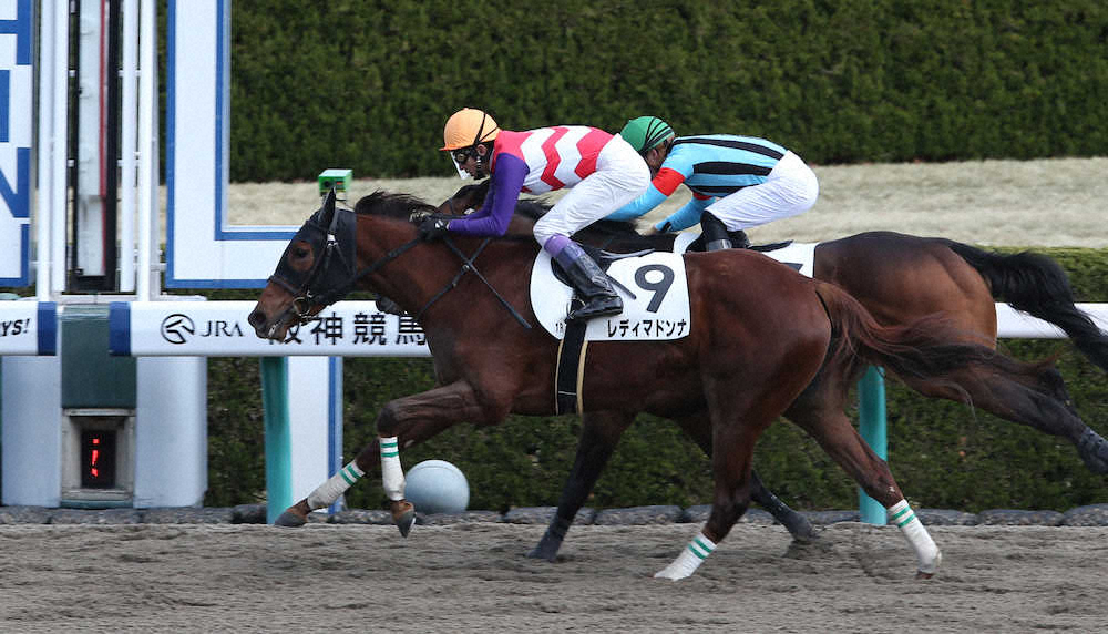 【画像・写真】武豊、50代初勝利　土曜は複勝率100％