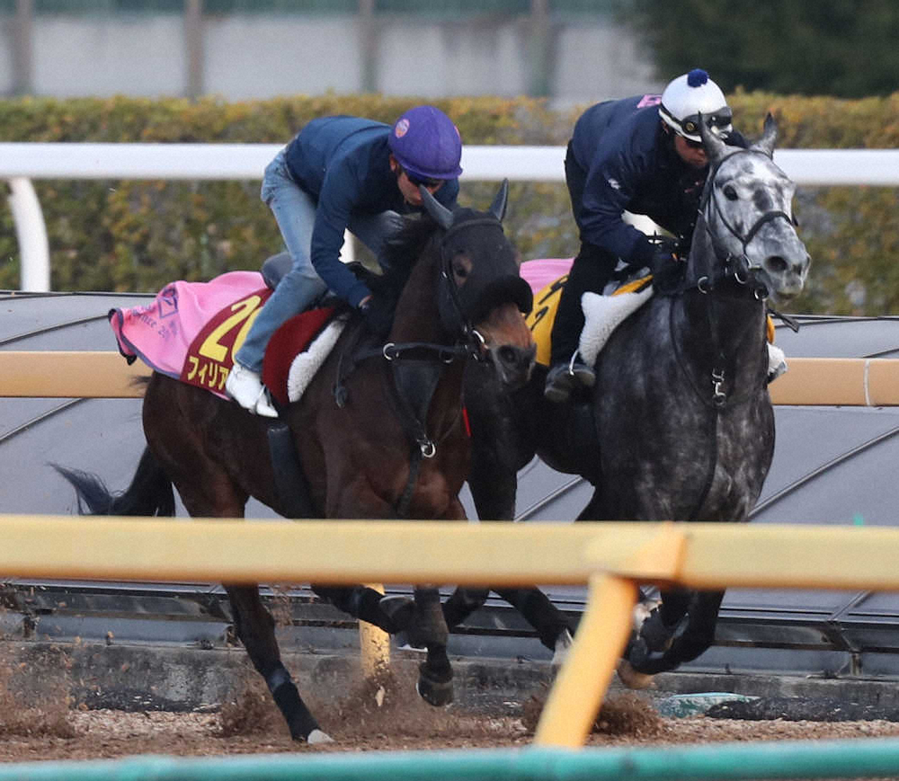 【画像・写真】【桜花賞1週前追い】フィリア精神面成長　折り合い抜群