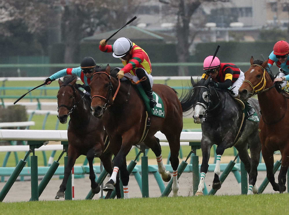 【画像・写真】【ダービー卿ＣＴ】マイル界に新星！フィアーノ　レースレコードＶ