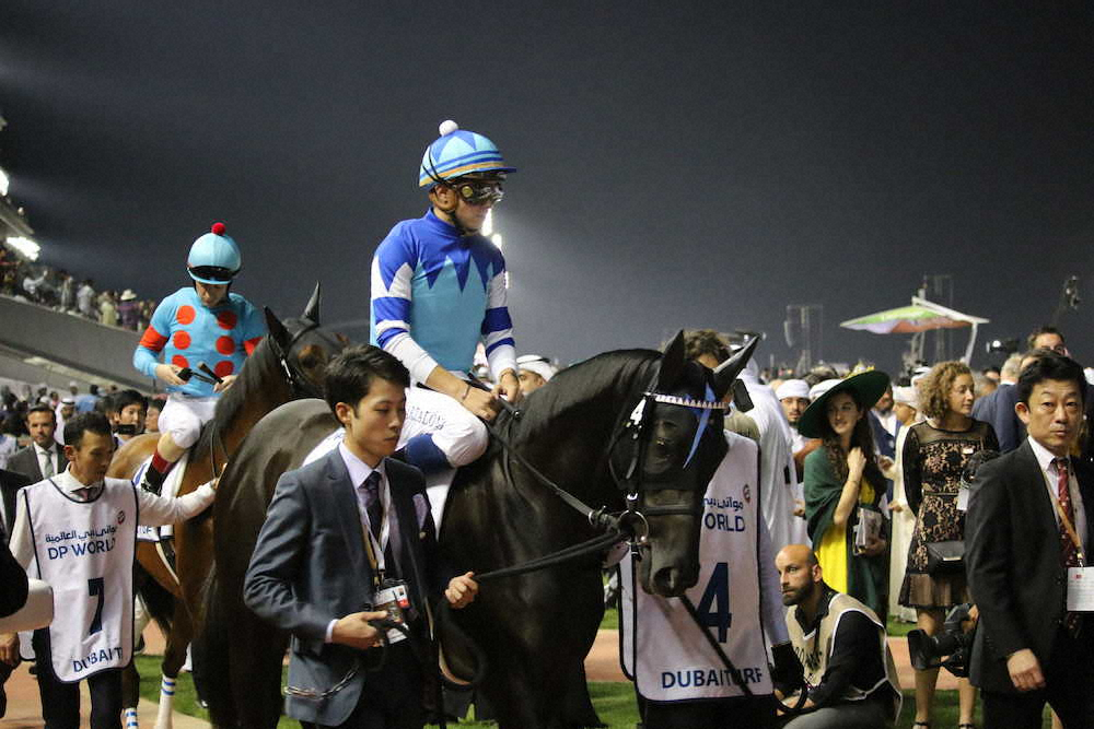 【画像・写真】【ドバイターフ】ヴィブロス“有終”2着　友道師も納得「今度は子供に期待したい」