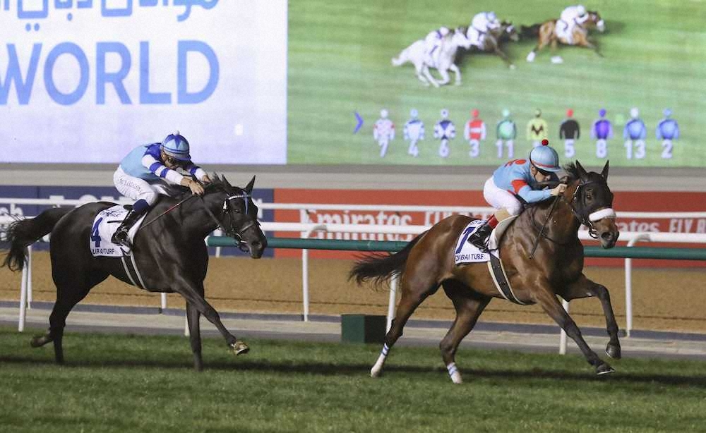【画像・写真】【ドバイ国際競走】魔神佐々木氏　愛馬2騎の奮闘称賛