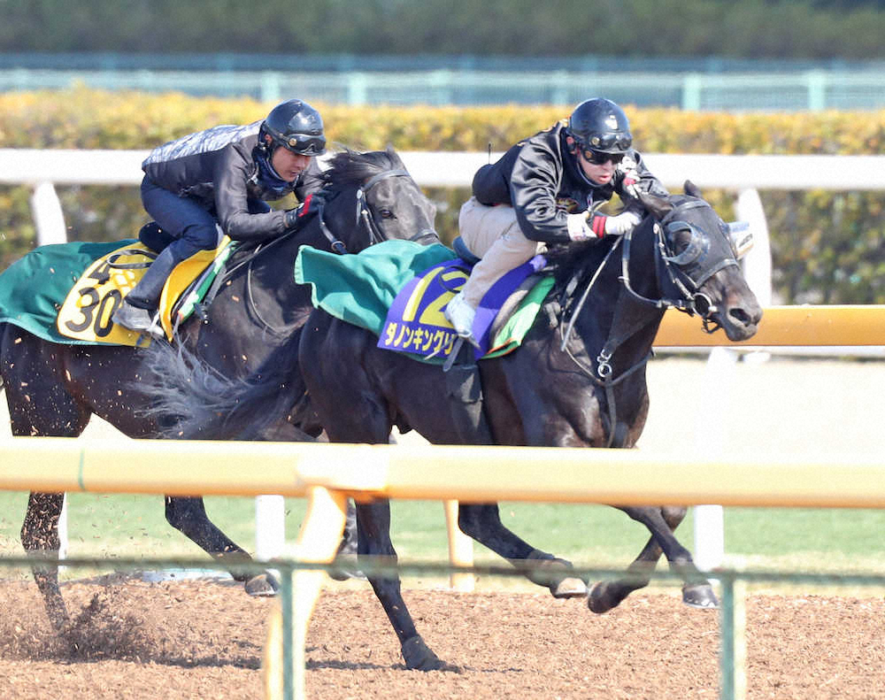 【画像・写真】【皐月賞1週前追い】成長キングリー、ゴール前で1馬身半先着！