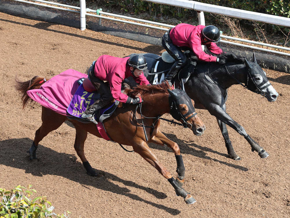 【画像・写真】【阪神牝馬S】順調ライラック、余力十分に先着