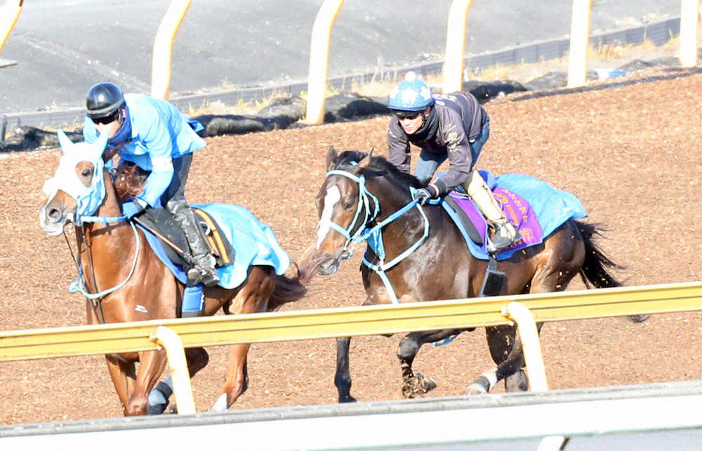 【画像・写真】【中山GJ1週前追い】オジュウ絶好調　石神「いい動き」