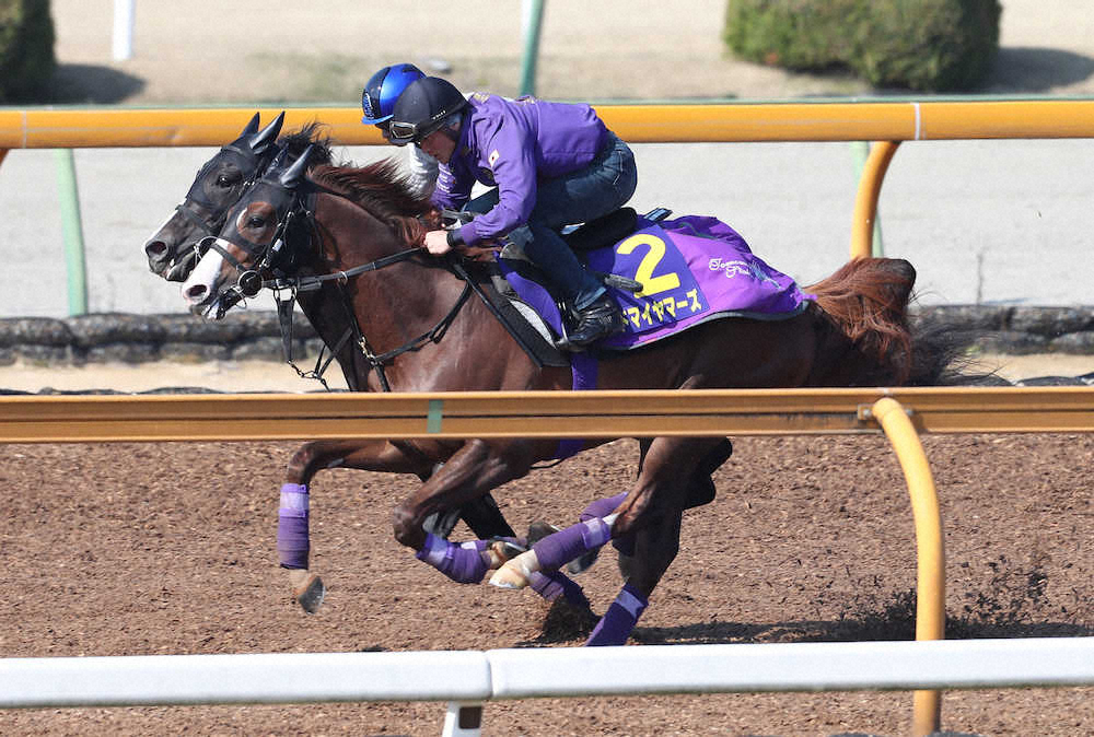 【画像・写真】【皐月賞1週前追い】マーズ手応え十分！1F12秒0“合格点”