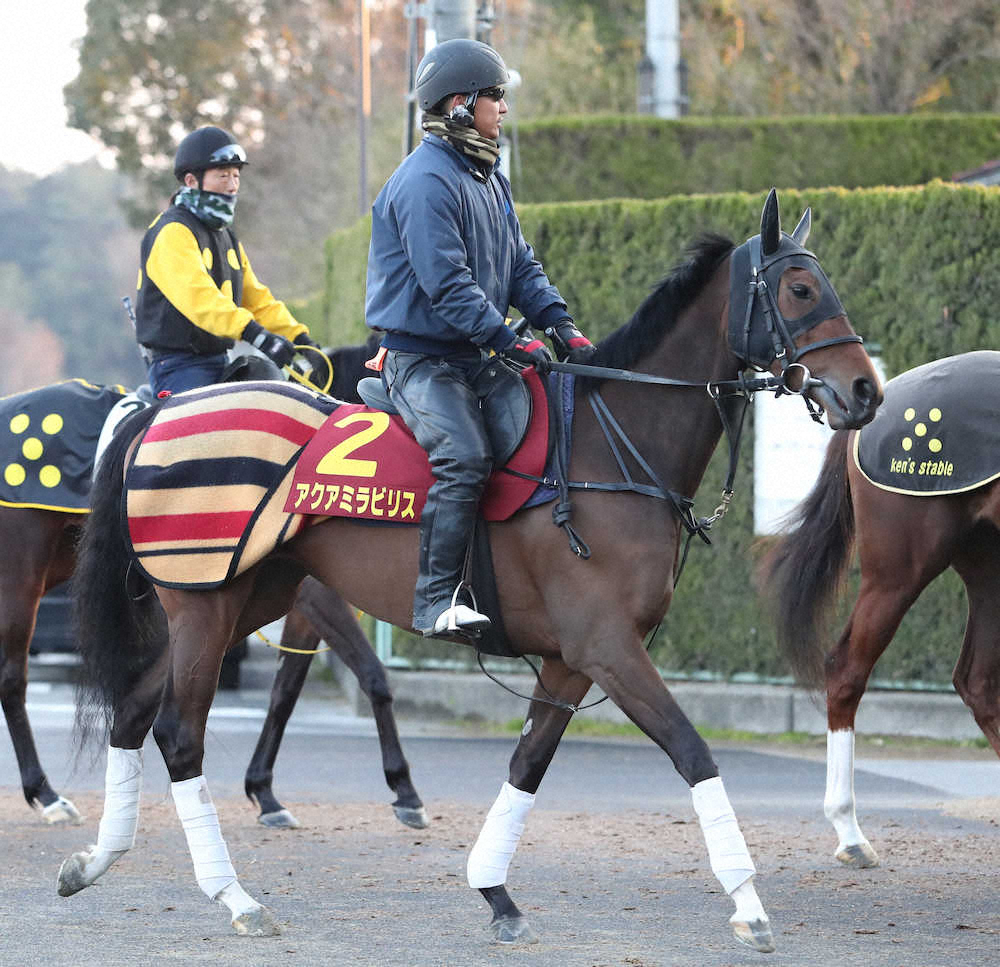 【画像・写真】【桜花賞】（9）アクアミラビリス　好調アピール