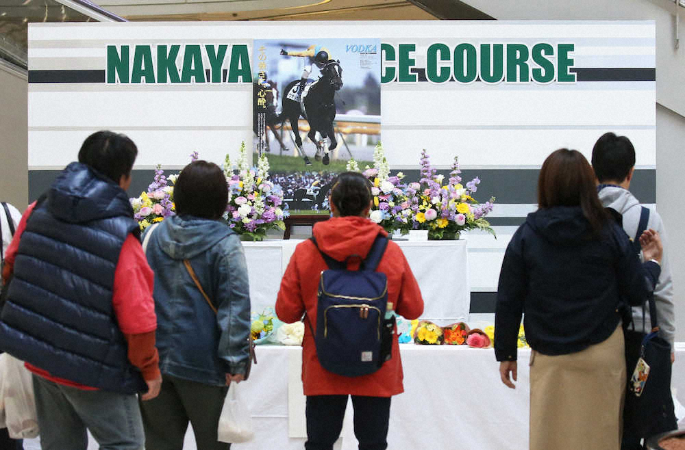 【画像・写真】各競馬場で名牝追悼　開催3場11Rが「ウオッカ追悼競走」に