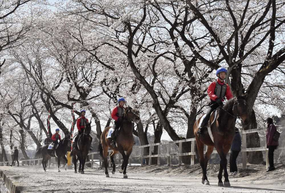桜並木を馬に乗って行進する地方競馬教養センターの騎手候補生ら