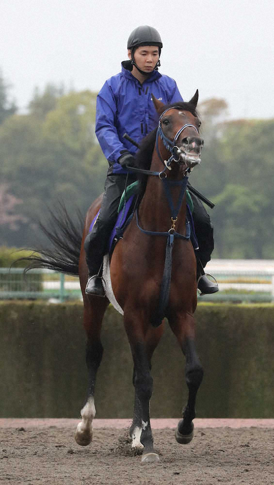 【画像・写真】【天皇賞・春】AI“4連勝”へ!フィエール◎で平成締める