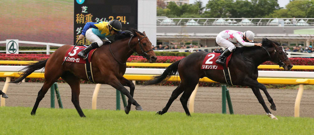 【画像・写真】【青葉賞】ランフォザ　猛追も2着…1カ月で逆転誓う
