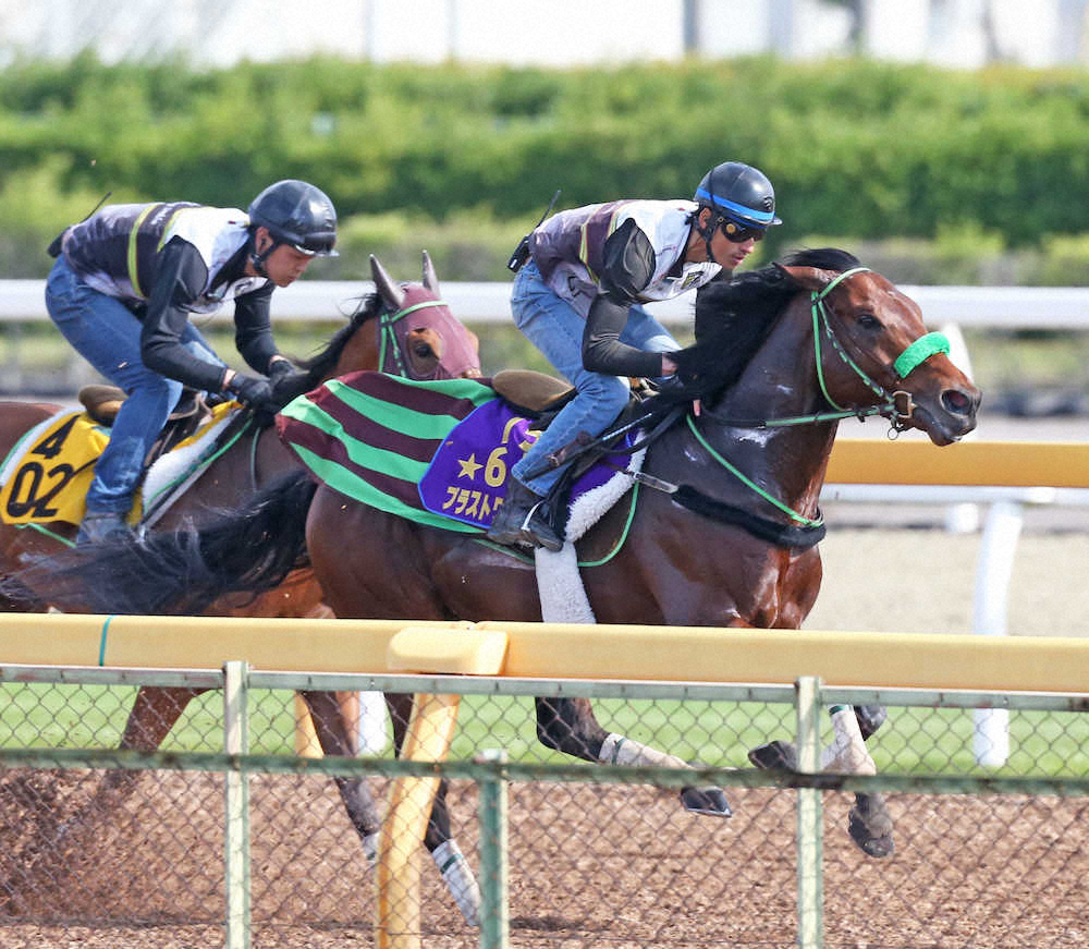 【画像・写真】【目黒記念】ブラスト堂々！Wコースで2馬身先行