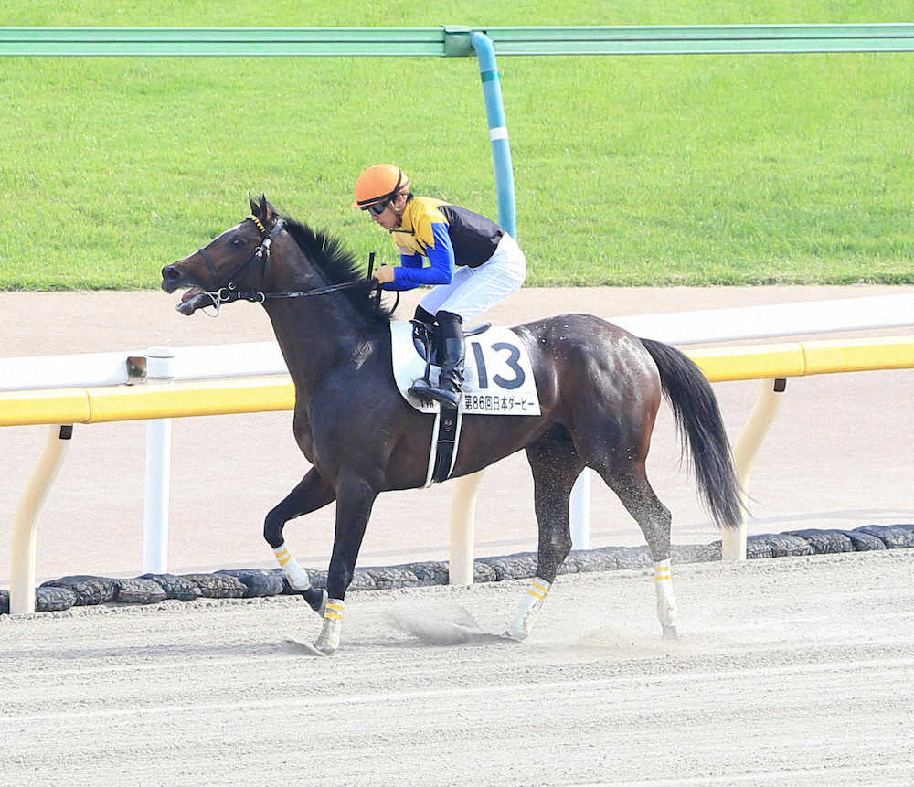 【画像・写真】【日本ダービー】ヴェロックス　2番人気の意地で3着