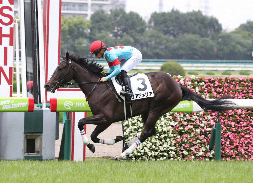 【画像・写真】【阪神新馬戦】桜花賞候補だリアアメリア　川田「意識的に出遅れさせた」