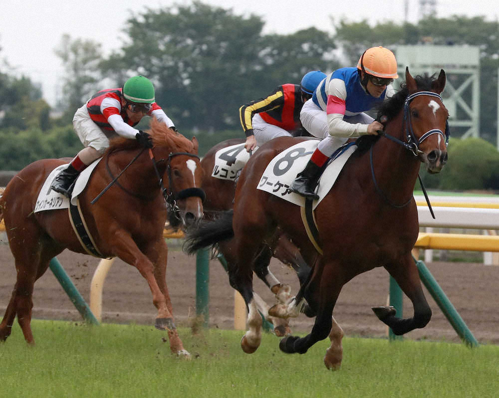 【画像・写真】【新馬戦総括】早期デビュー、エリート街道歩むワーケア