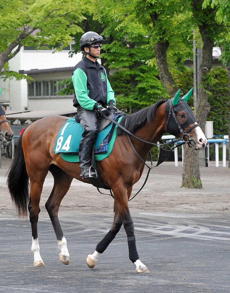 函館新馬戦で今週デビュー予定の2歳馬ビアンフェ（中村和也厩舎）