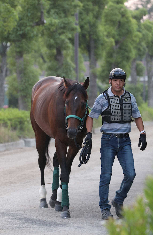 【画像・写真】【宝塚記念】（1）キセキ　ダービー馬ロジャーに続く