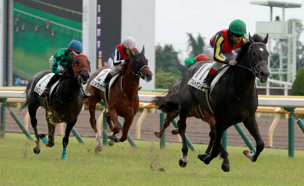 【画像・写真】【東京新馬戦】桜花賞馬の全弟ブルトガングが初陣V　ルメール「ビックリした」