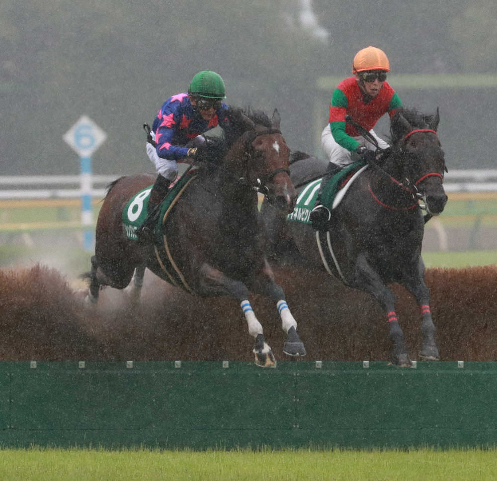 【画像・写真】【東京JS】マイケル重賞初V、石神笑顔「飛越が上手」