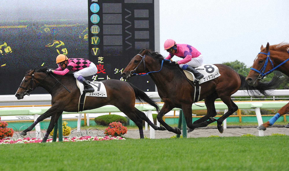 【画像・写真】【函館新馬戦】スマートカーリーV　新種牡馬エピファネイア産駒初勝利