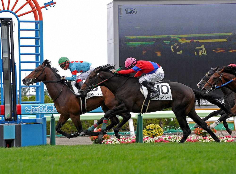 【画像・写真】【函館新馬戦】オーソリティV　シルクレーシングは新馬戦7連勝