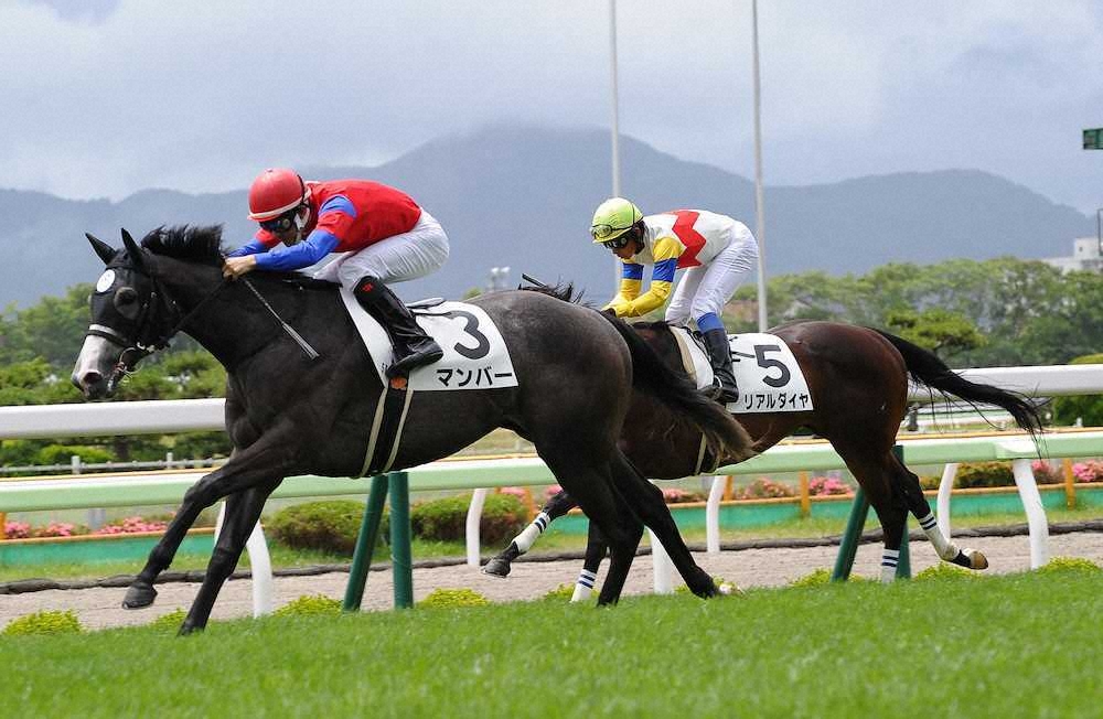 【画像・写真】【函館新馬戦】マンバー伸びて快勝　連闘で重賞挑戦も