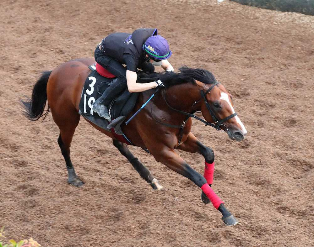 ＜中京記念・追い切り＞坂路をブラゾンダムールと併せて松山弘平騎手鞍上で追い切り先着したグルーヴィット