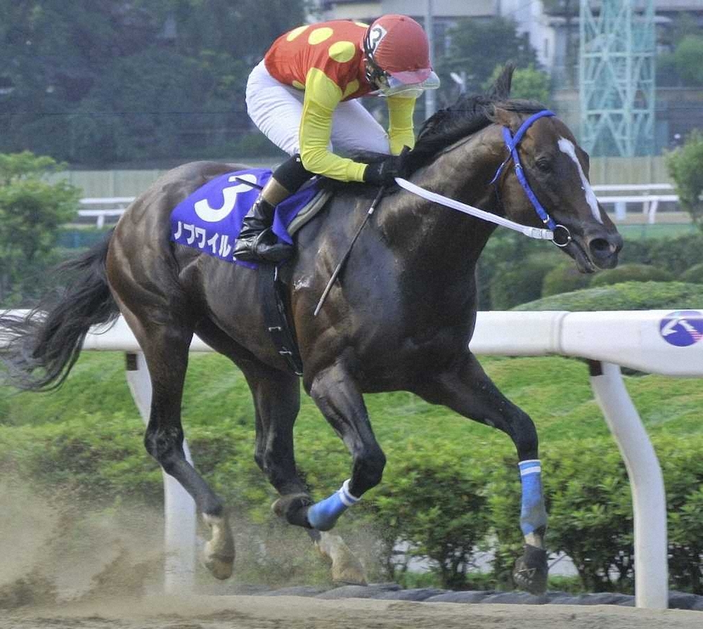 【画像・写真】【浦和・プラチナC】ワイルド逃げ切った　橋本重賞初V