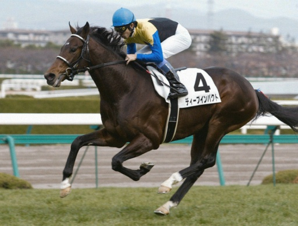 2004年12月、新馬戦で圧勝したディープインパクト