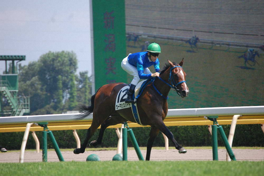 【画像・写真】【新潟新馬戦】ウーマンズハート楽勝!津村「先が楽しみ」