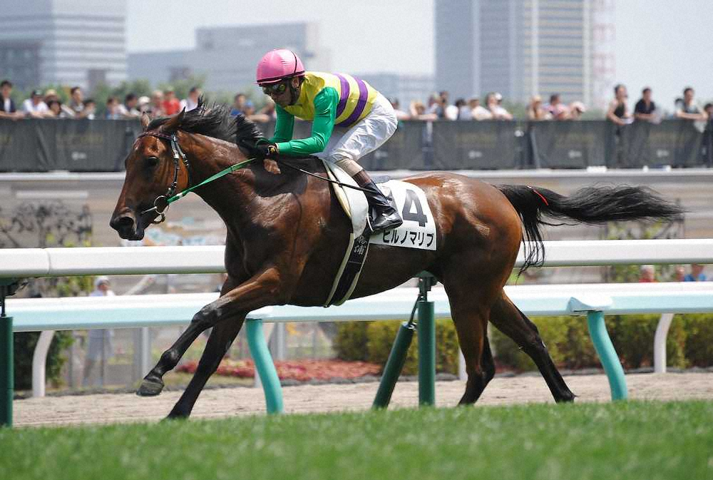 【画像・写真】【札幌新馬戦】ヒルノマリブV!勝浦「期待通りの走り」
