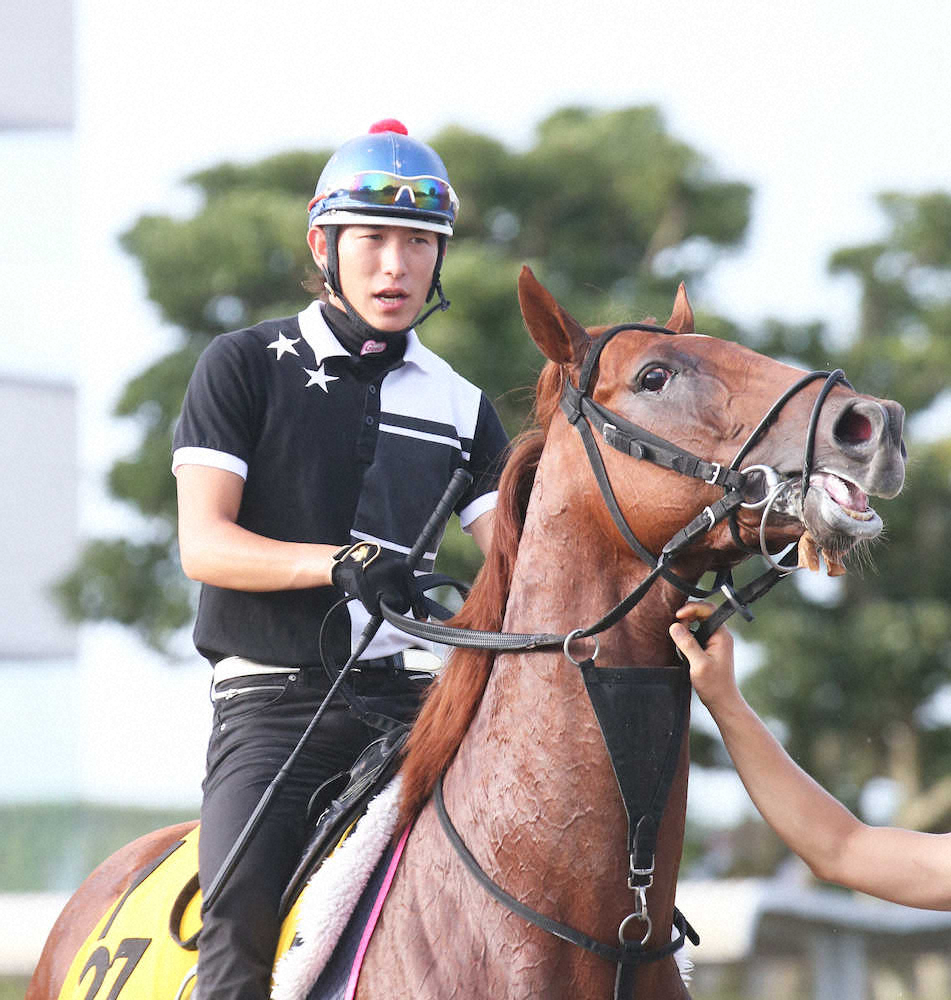 【画像・写真】【関屋記念】日英で根本“3兄妹”旋風だ!丸山、サラキアと今年重賞4勝目狙う